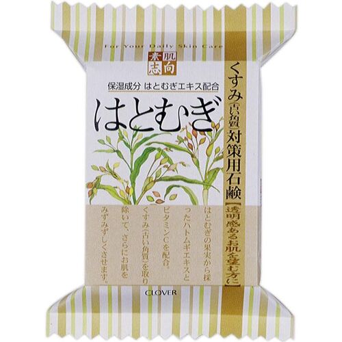 Japanische Seifenverpackung mit Pflanzenmotiv und Schriftzeichen auf beigem Hintergrund. Japanische Seifenverpackung mit Pflanzenmotiv und Schriftzeichen auf beigem Hintergrund.